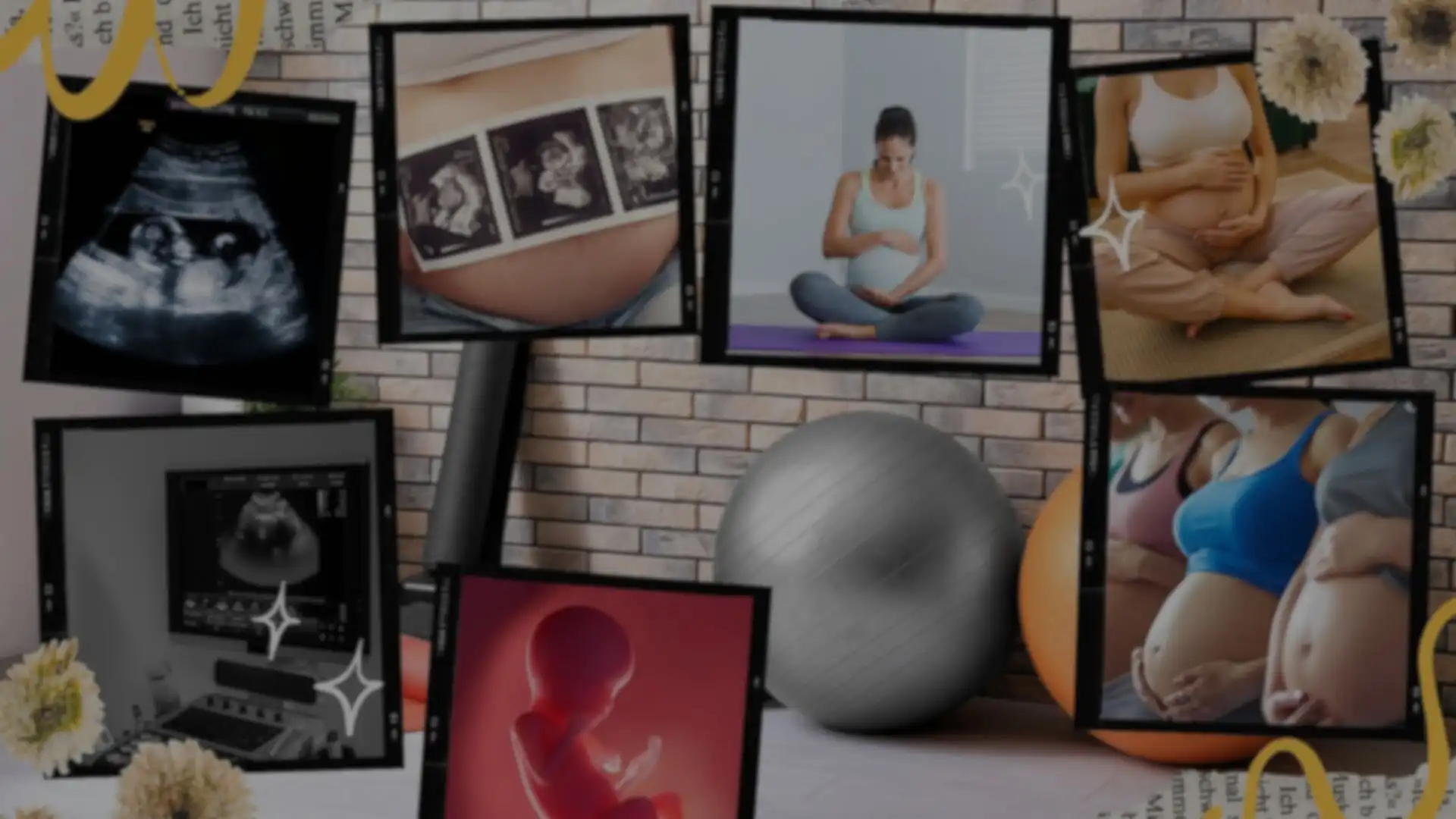 Your Pregnancy Journey, Week by Week